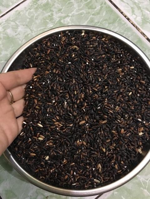 Gạo Nếp Cẩm Điện Biên 1kg