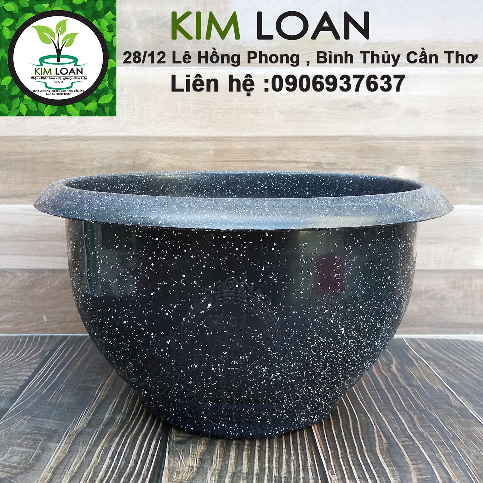 Combo 4 chậu tròn vân đá Cát Tường 35x20cm