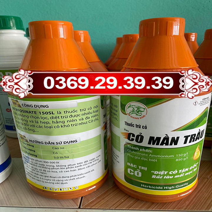 Thuốc cỏ bờ hiệu Cỏ Mần Trầu diệt tất cả loại cỏ cho cây trồng