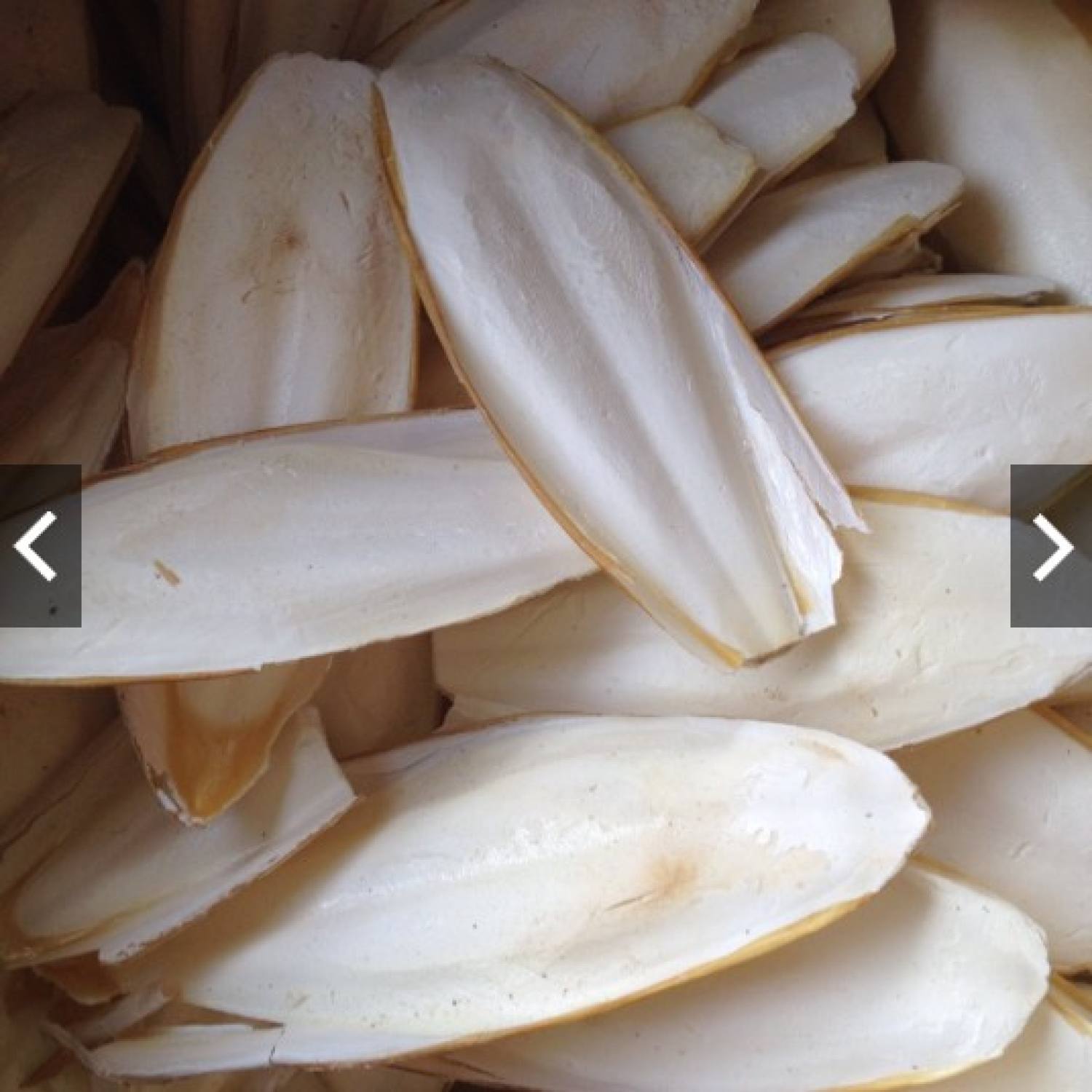 Nang mực 100g