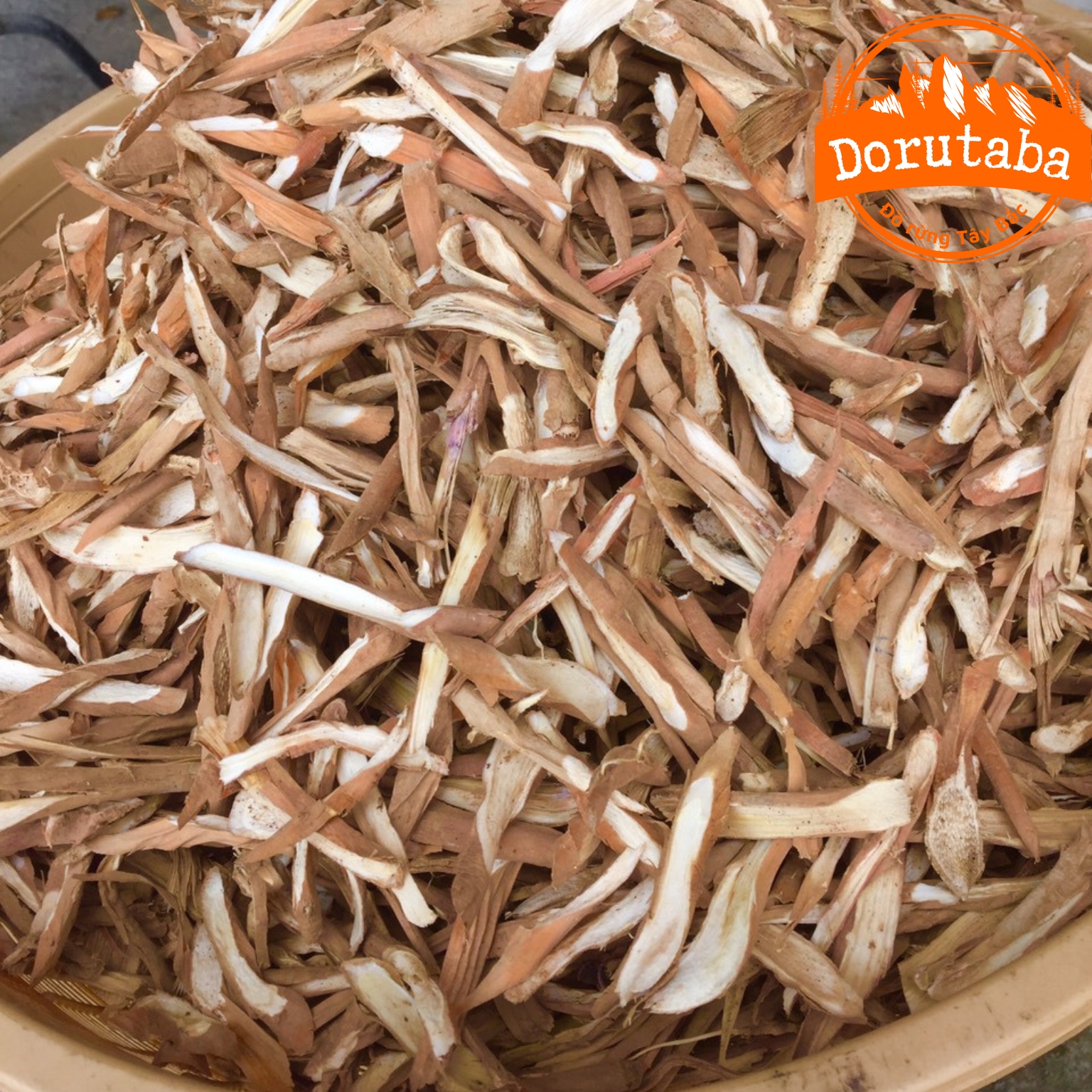 Sâm cau đỏ khô, sâm tiên mao đỏ thu rừng tự nhiên sấy khô ngâm rượu bổ thận tráng dương, tăng cường sinh lý nam