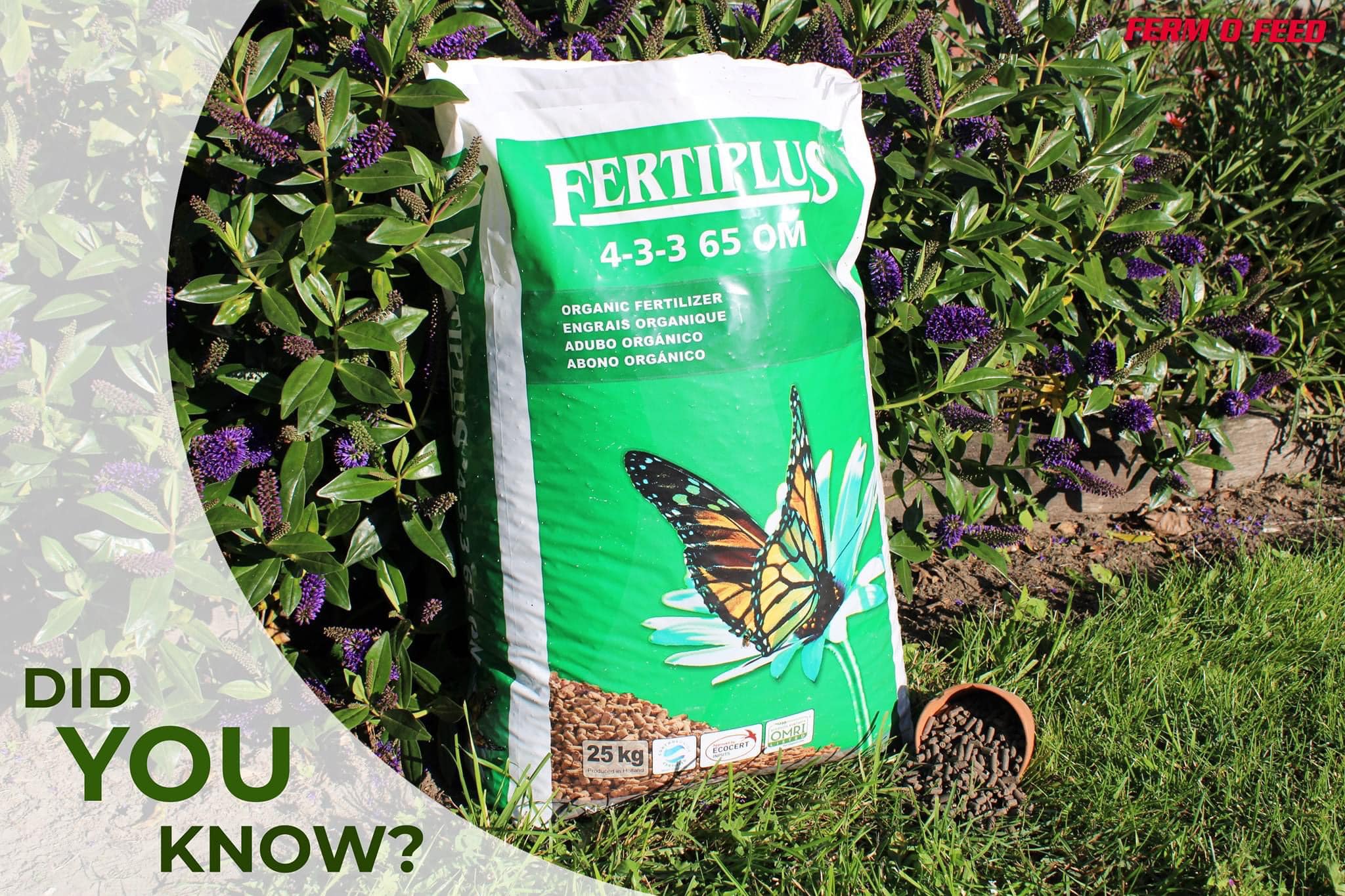 Phân bón Hữu Cơ Hà Lan Fertiplus 4-3-3 65OM Đóng gói sẵn