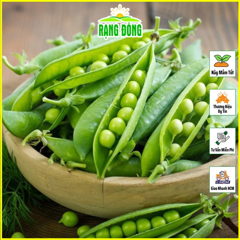 Hạt giống Đậu Hà Lan Lấy HẠT Dễ Trồng, Cây Kháng Sâu Bệnh Tốt, Sinh Trưởng Khỏe (gói 50 gram) - Hạt Giống Rạng Đông