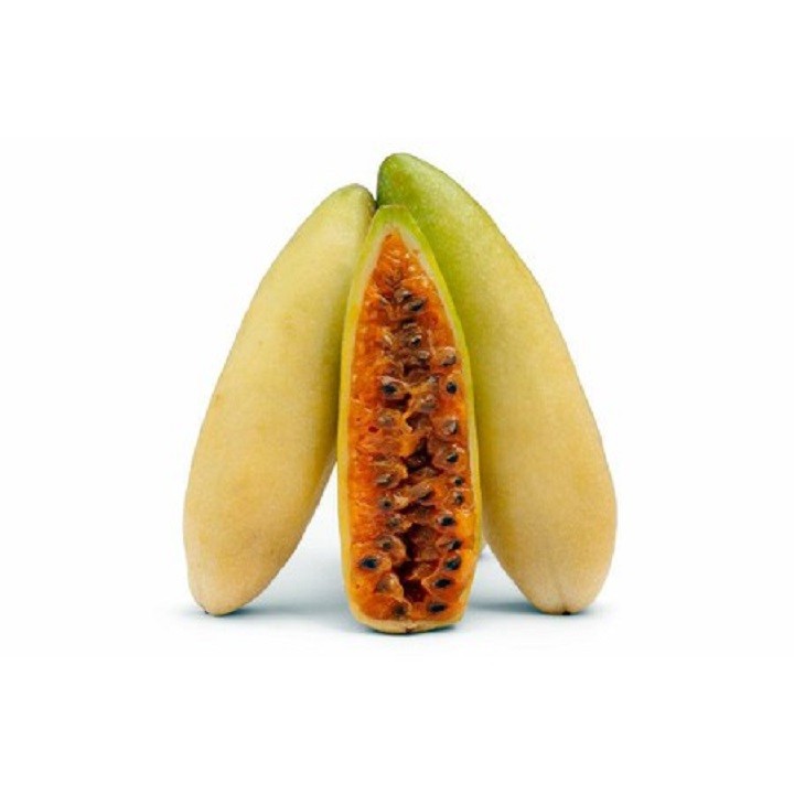 bo0FyMHbedCfmHgETxXj_simg_d0daf0_800x1200_max.jpg