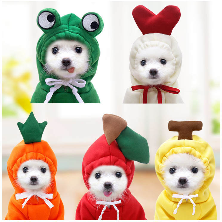 Quần áo chó mèo hình Trái Cây cute - Quần áo thú cưng
