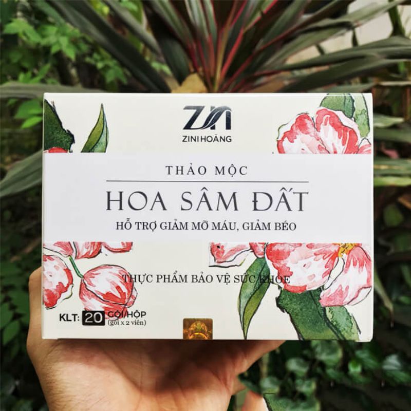 Trà thảo mộc hoa sâm đất