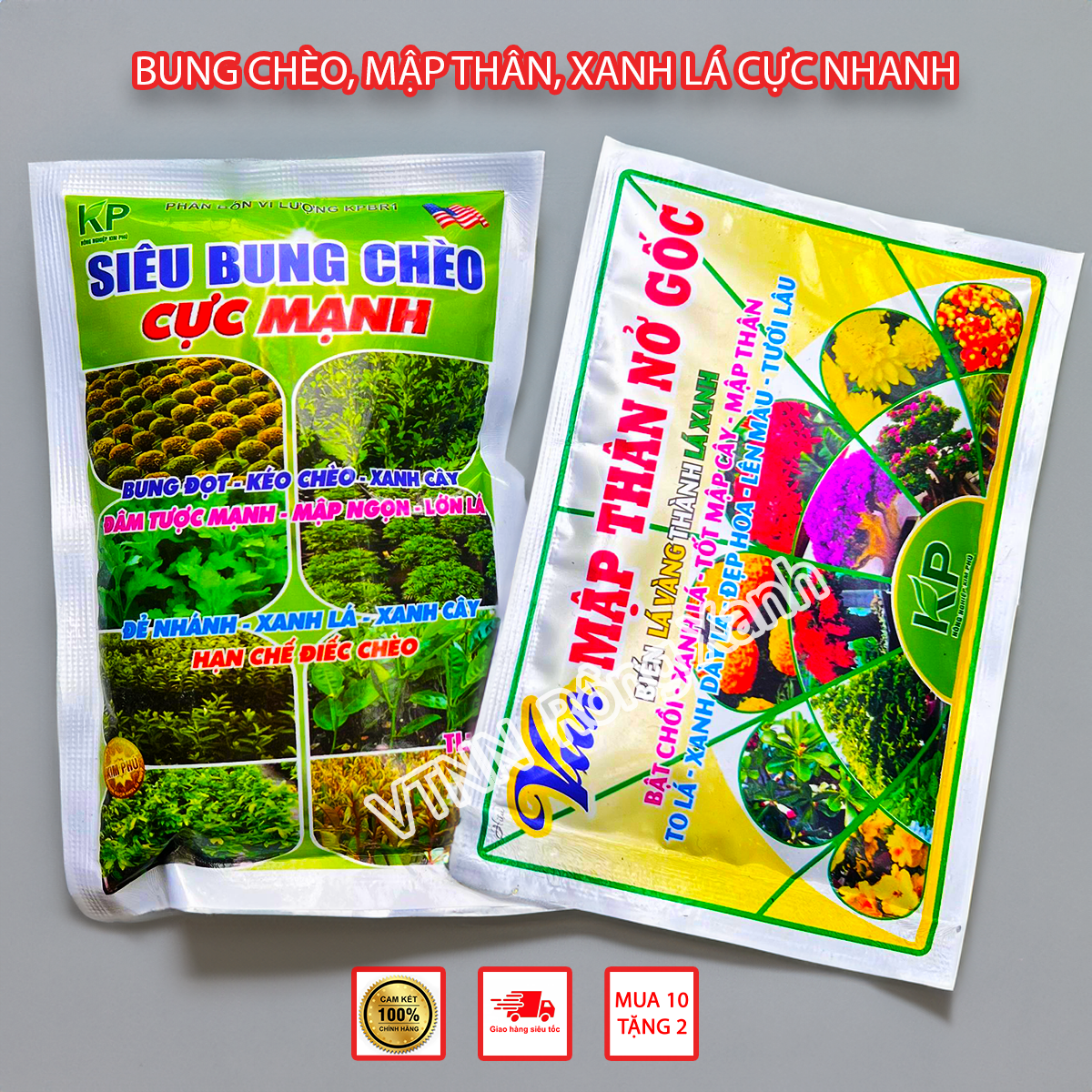 Combo phân bón siêu bung chèo mập thân nở gốc đẻ nhánh nở bụi xanh cây béo mập Siêu Bung Chèo + Mập Thân Nở Gốc