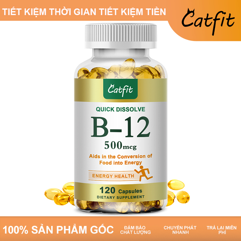 Catfit vitamin B12 500 SDI capsule supports oxidation & promote nerve