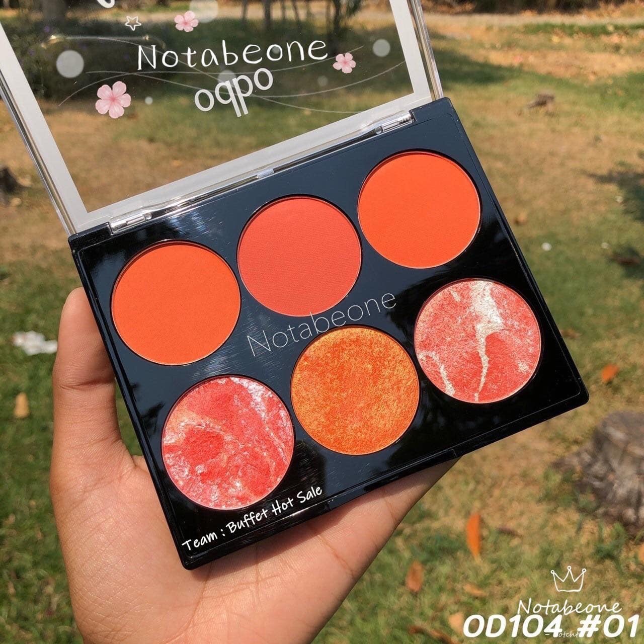 [HCM]Phấn má hồng kiêm bắt sáng 6 ô odbo color harmony blusher