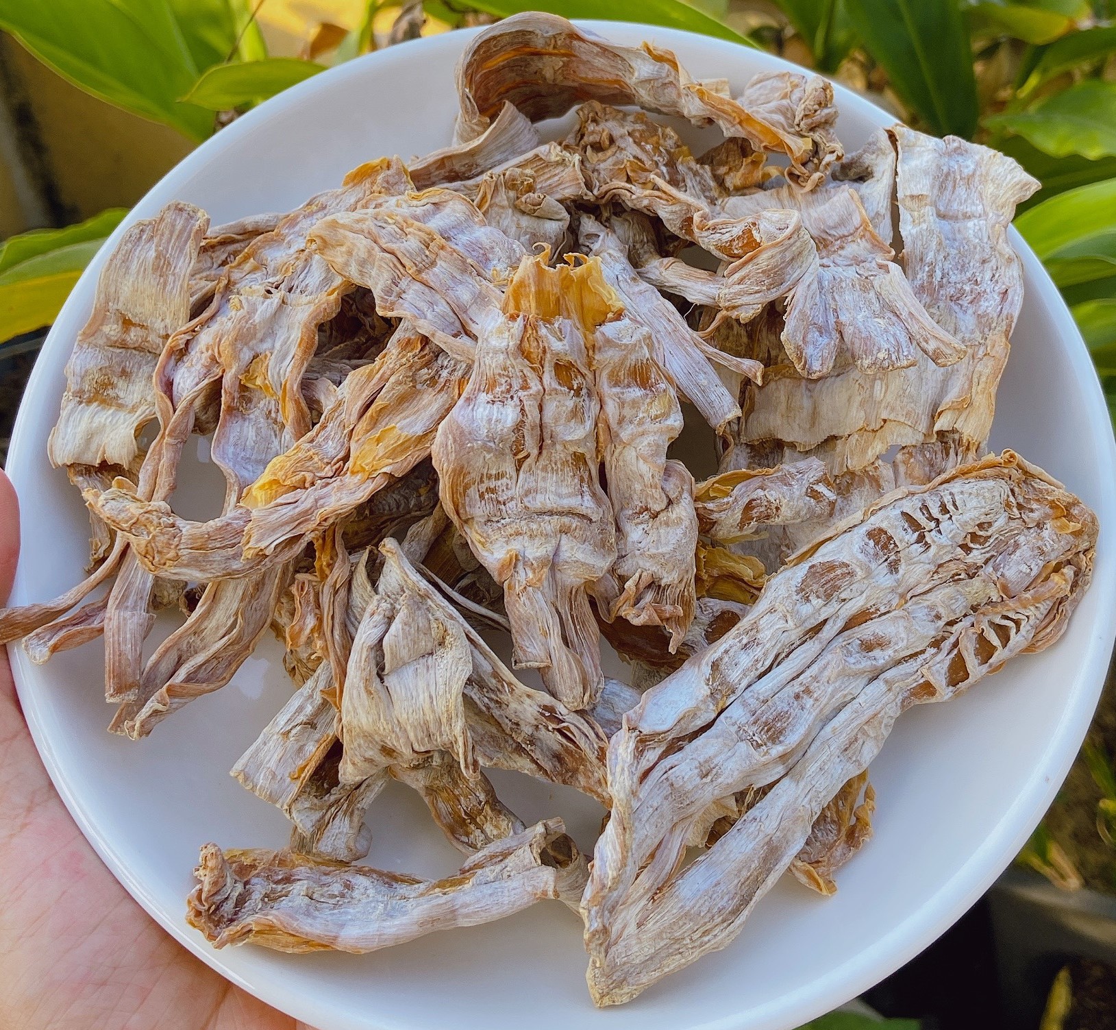 Măng khô Lâm Đồng, măng rừng khô hàng ngon chuẩn hàm lượng Dinh dưỡng càng cao giá siêu rẻ ngon hết chỗ chê