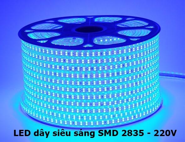 5m Đèn LED dây siêu sáng chất lượng cao SMD 2835 Mạch đôi, 2 hàng mắt led, mạch đồng, dây đồng, ánh Xanh ( tặng kèm 1 dây nguồn)
