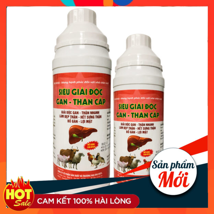 SIÊU GIẢI ĐỘC GAN THẬN CẤP Hỗ trợ điều trị tất cả các tổn thương trên gan