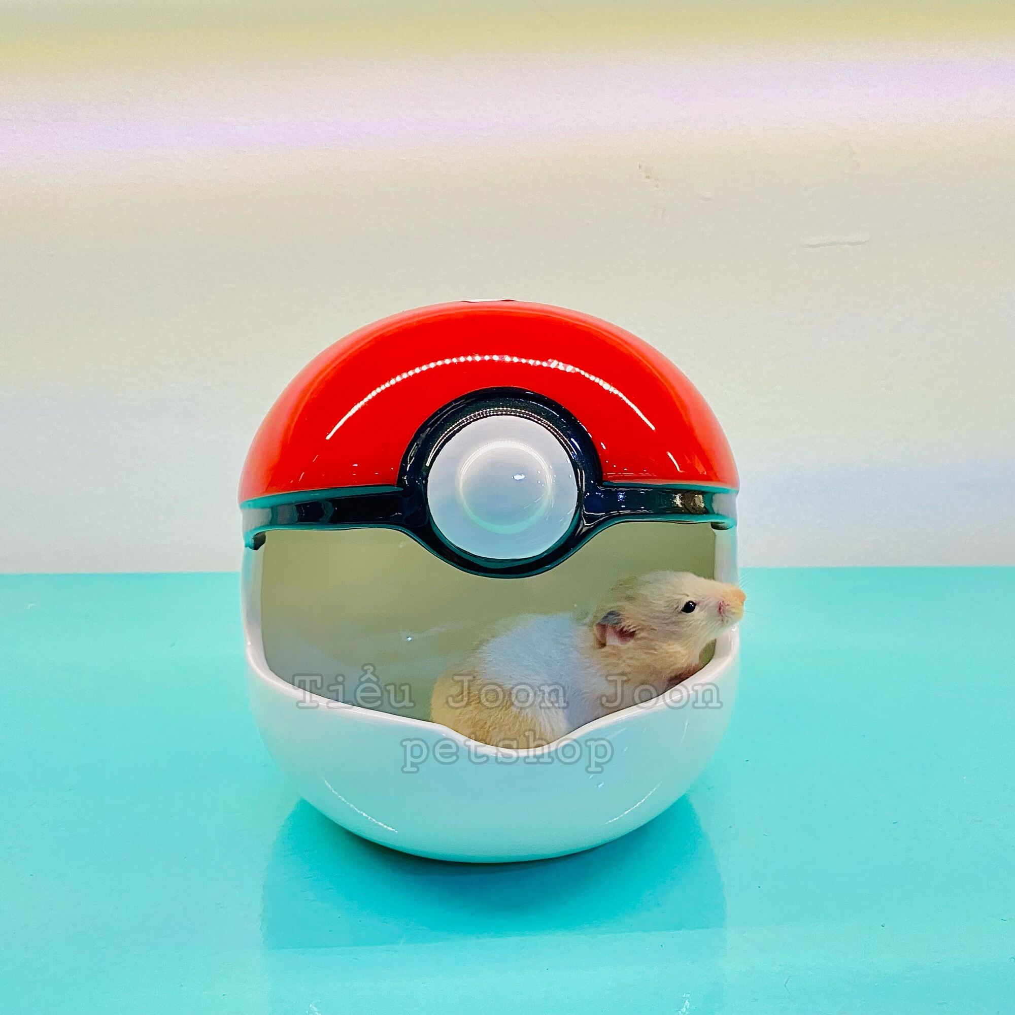 Nhà ngủ sứ Pokemon cho Hamster 🐹 - Size to khổng lồ