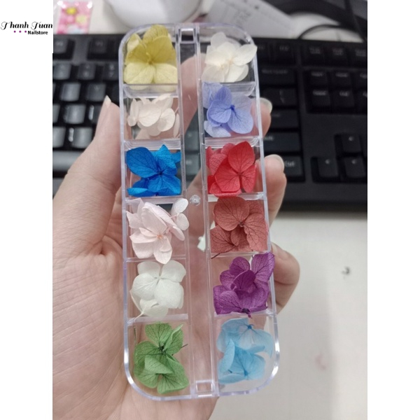 Set hoa khô nail 12 màu, hoa khô trang trí móng - Phụ kiện đồ nail Thanh Tuấn