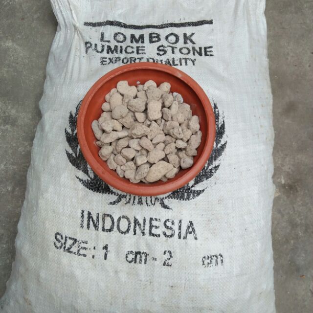 1kg đá núi lửa Indonesia Trồng Hoa Lan