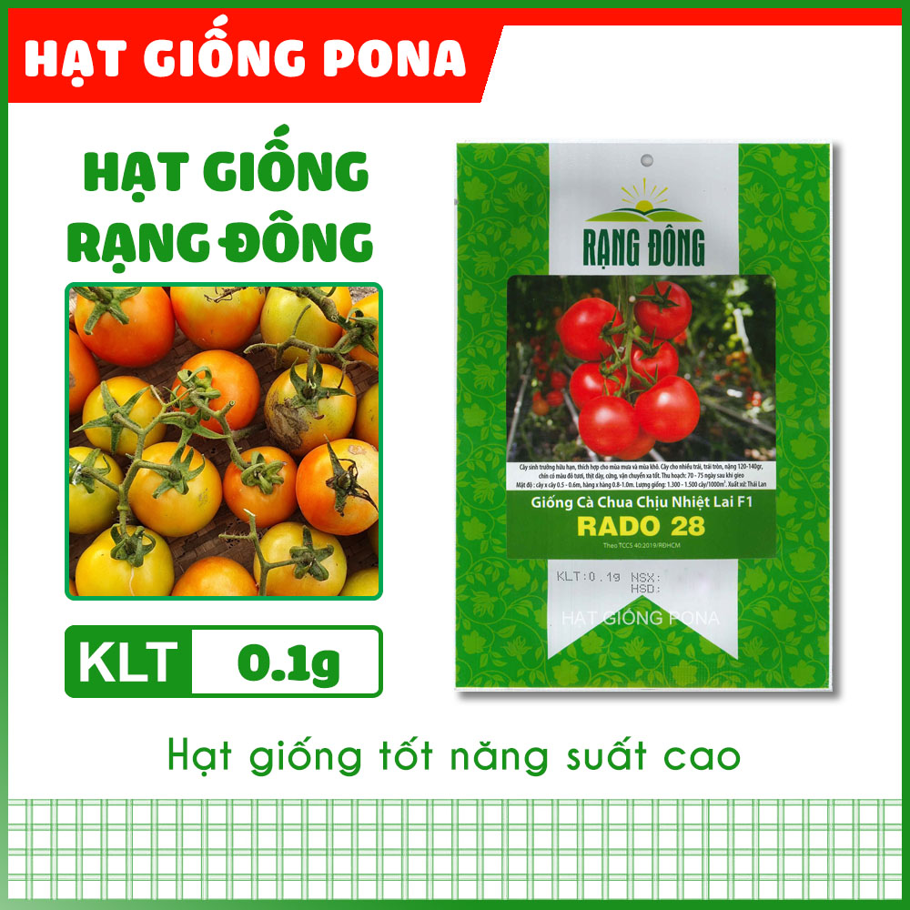 Hạt giống cà chua chịu nhiệt lai f1 rado 28 - hạt giống rạng đông