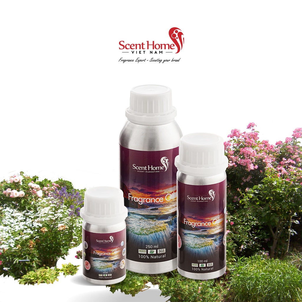 Tinh dầu Scent Homes - mùi hương