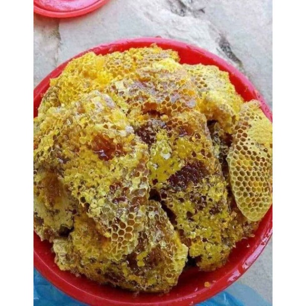 Mật ong nguyên chất thơm ngon (mật ong rừng, mật ong hoa cà phê, mật ong bạc hà, mật ong hoa xuyến chi)