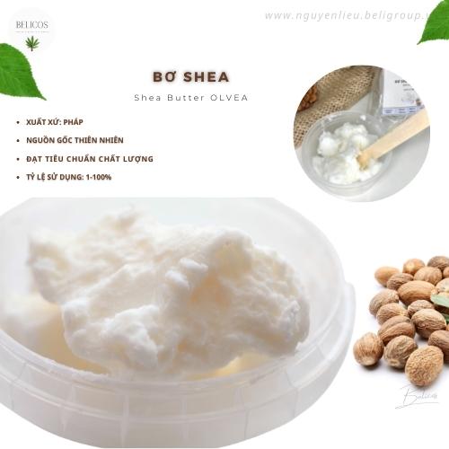 Bơ hạt mỡ - bơ shea làm son môi - shea butter