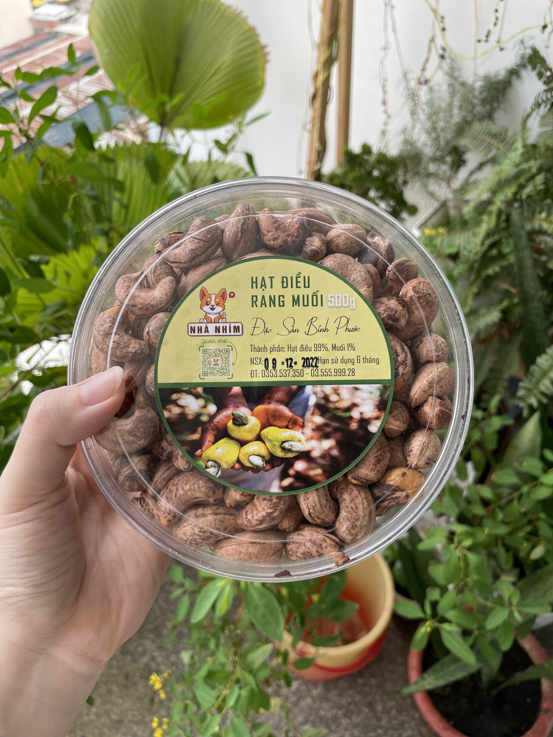 Hạt điều rang muối Bình Phước - đóng hộp