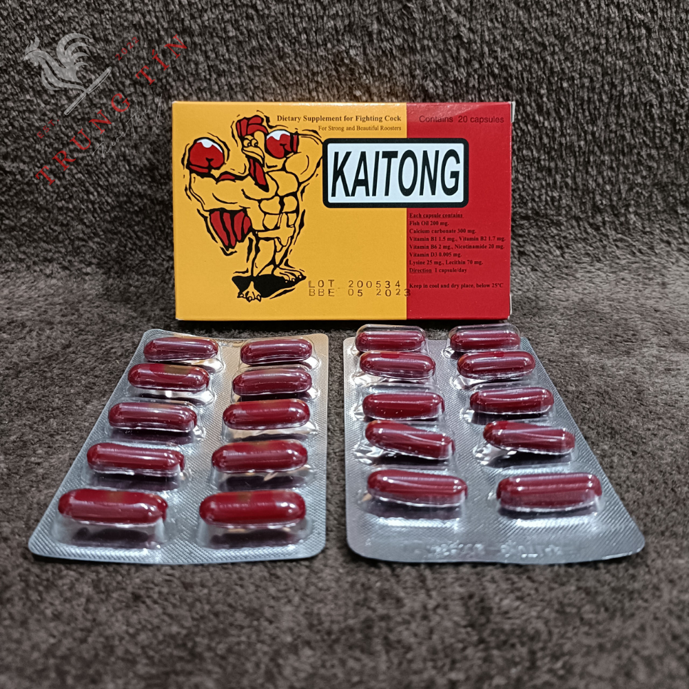 Kaitong - Sâm Thái - gà đá bo lớn - hừng gà - sung gà ( 1 hộp/20 viên )