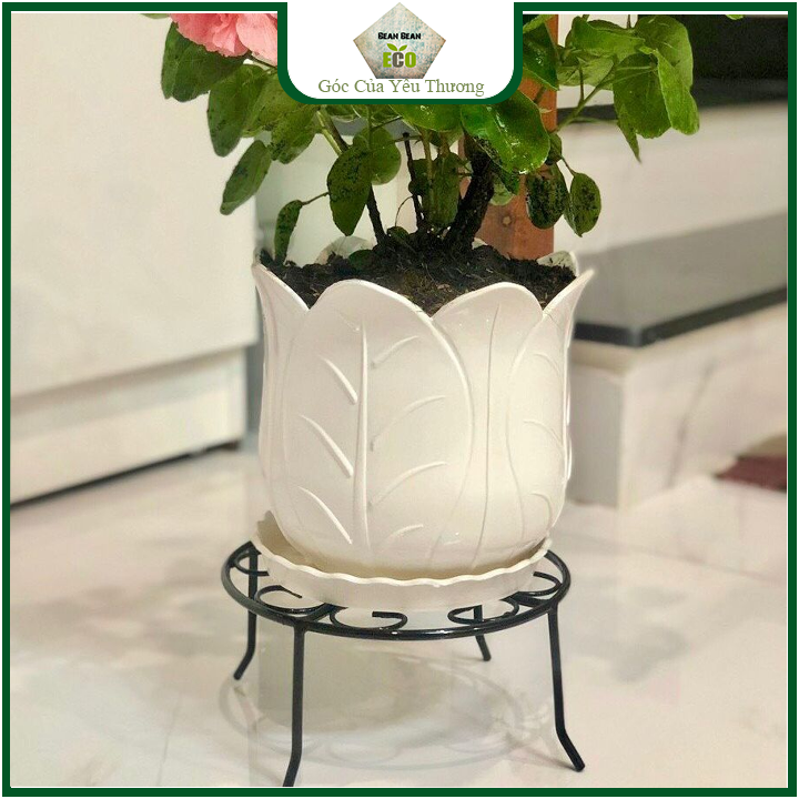 Combo 5 chân đế lùn kê chậu hoa decor sân vườn
