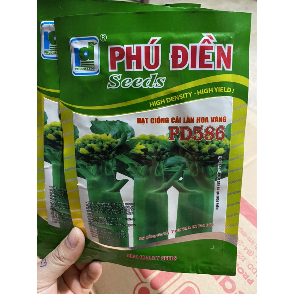 Hạt giống cải làn hoa vàng
