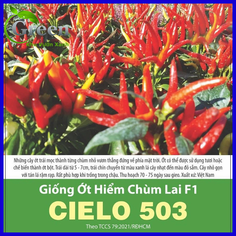 Hạt giống ớt hiểm chùm lai f1