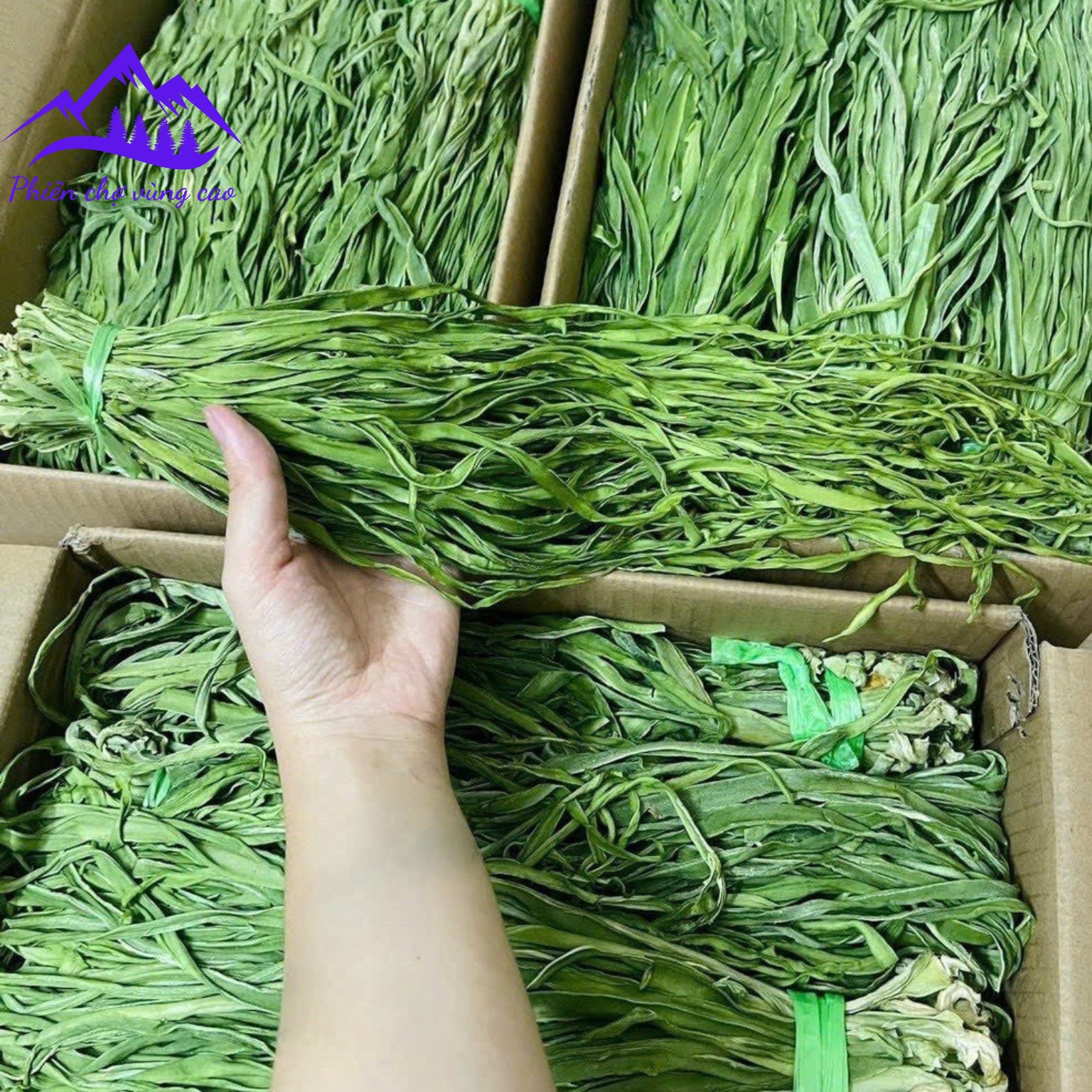 Rau tiến vua sấy khô loại 1 xanh thượng hạng , làm rau tiến vua ngâm chua ngọt, non giòn dai ngon