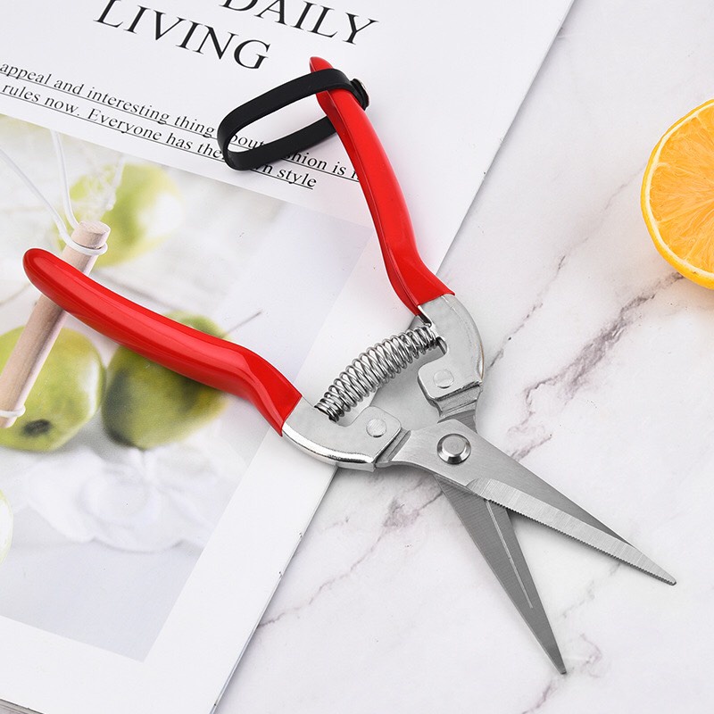 Kéo cắt tỉa cành dăm, Kéo tỉa cành C53