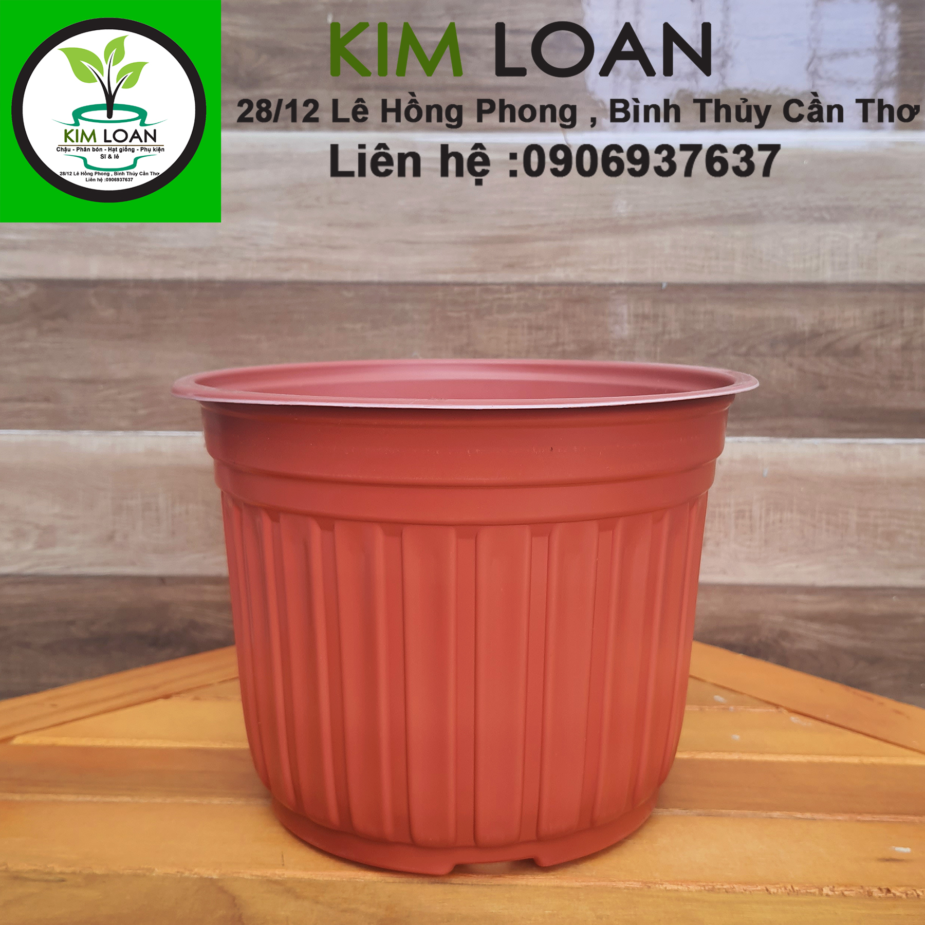 Combo 20 chậu nhựa tròn vành cứng C4 18x15cm