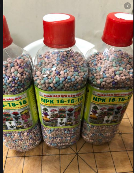 Phân bón tổng hợp NPK chuyên cho hoa cây cảnh 16-16-16 chai 500gr tiện lợi