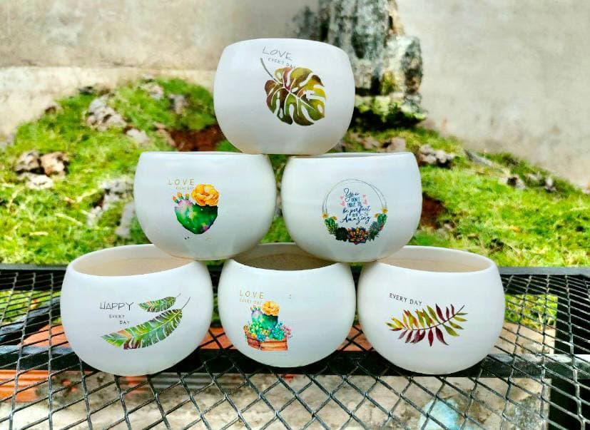 Chậu sứ mini in hình trồng cây cảnh, sen đá, xương rồng