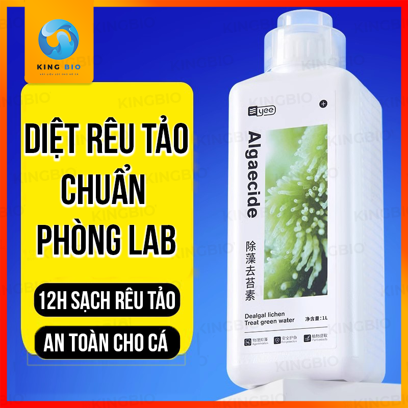 Chế phẩm sinh học diệt rêu tảo Yee Algaecide - diệt rêu tảo bể cá, bể thủy sinh không gây hại cho cá