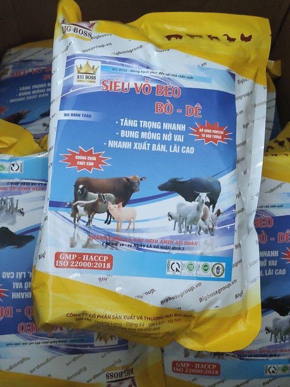 Siêu vỗ béo trâu bò dê tăng trọng nhanh, rút ngắn thời gian chăn nuôi công ty bigboss