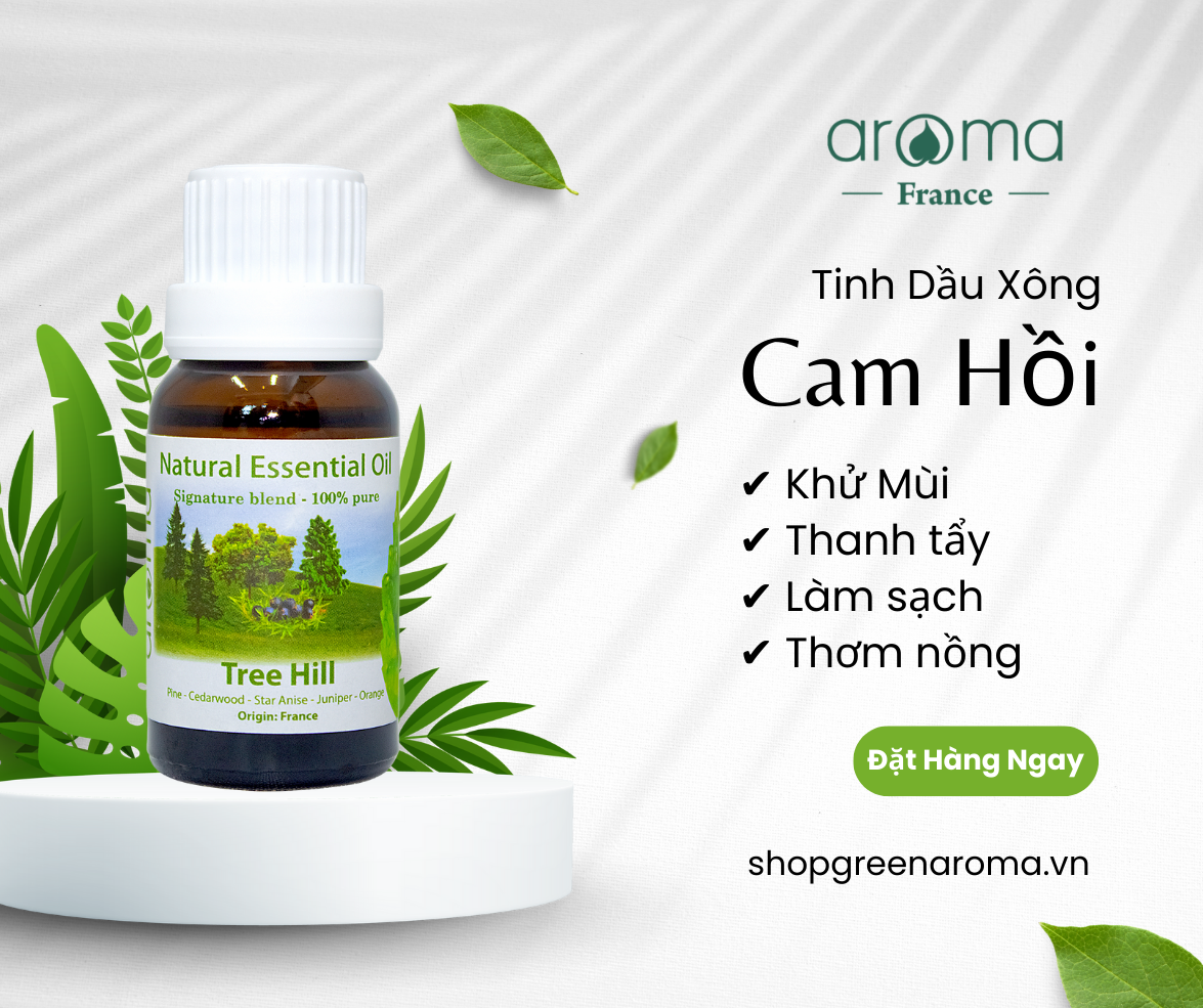 Tinh Dầu Aroma cam thông hồi oải hương - Blue Horizon 10ml - 100ml