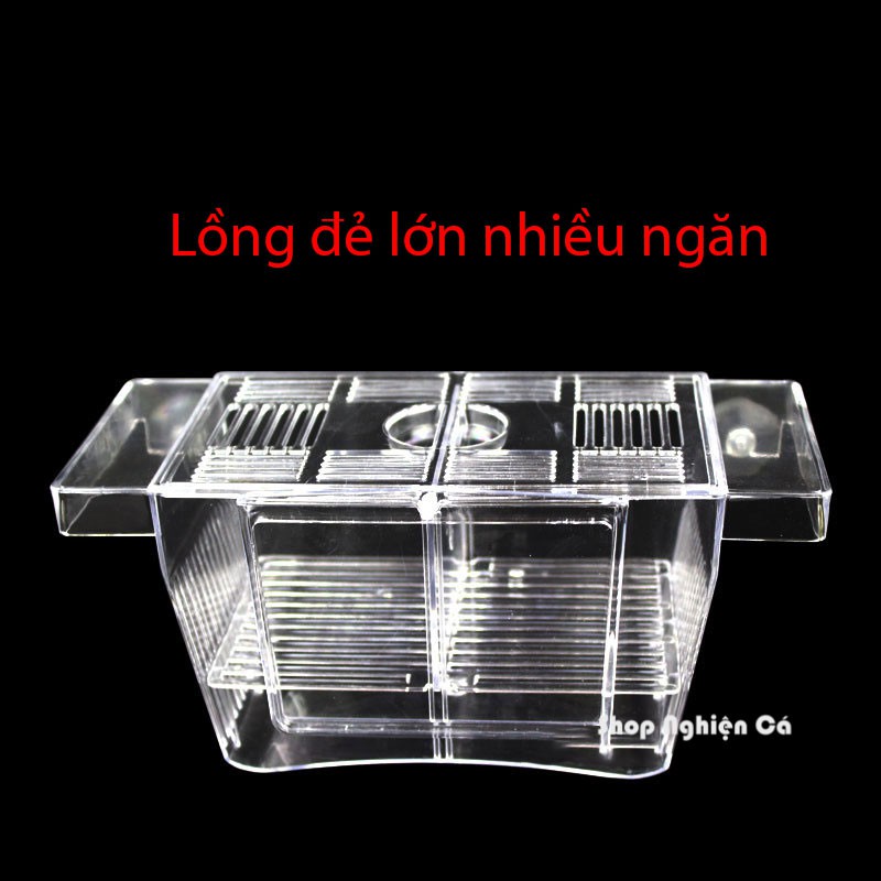Lồng dưỡng cá tép cách li cá nhiều ngăn
