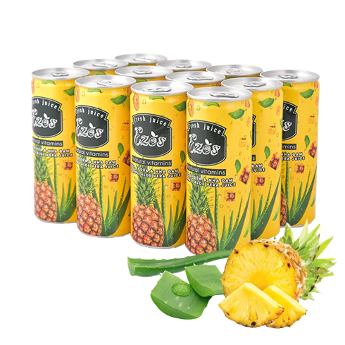 [HCM]Nước ép trái cây Ezos vị dứa - nha đam 6lon * 240ml