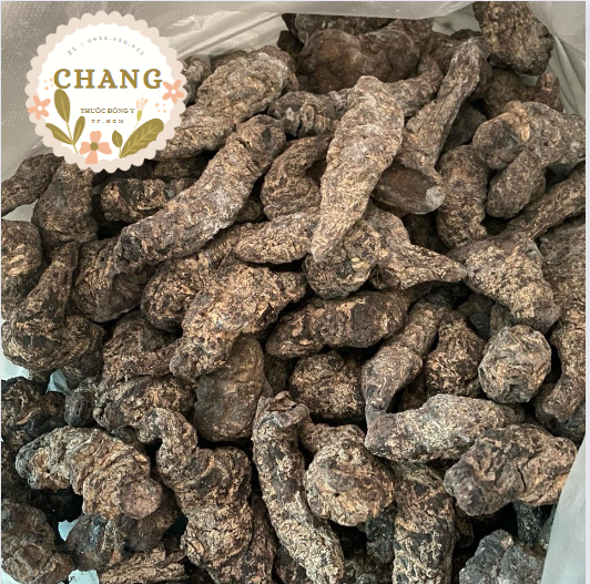 Sinh địa đẹp giá rẻ nấu nước sâm siêu ngon