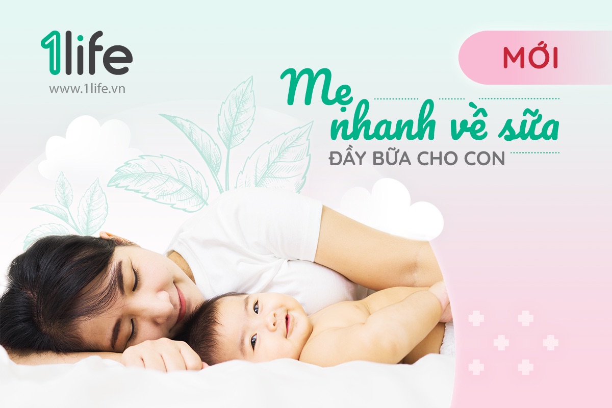 Túi thảo mộc 1life chườm bầu ngực