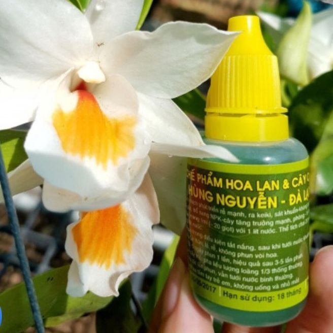 Chế Phẩm Cho Hoa Lan và Cây Cảnh HÙNG NGUYỄN (6 trong 1)