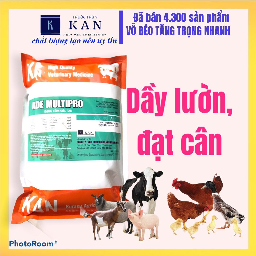 Vỗ béo vàng da đẹp mã bung lông bật cựa cho gia súc gia cầm gói 1 kg