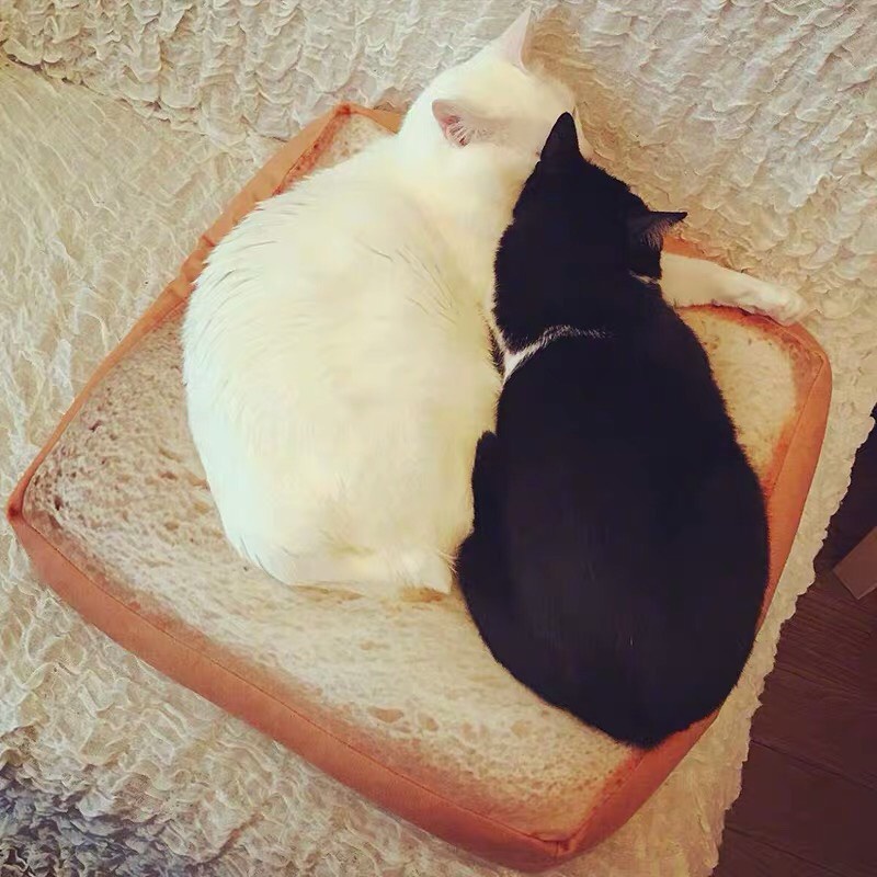 Ổ đệm nằm cho chó mèo mẫu chiếc bánh mì - Ổ đệm thú cưng