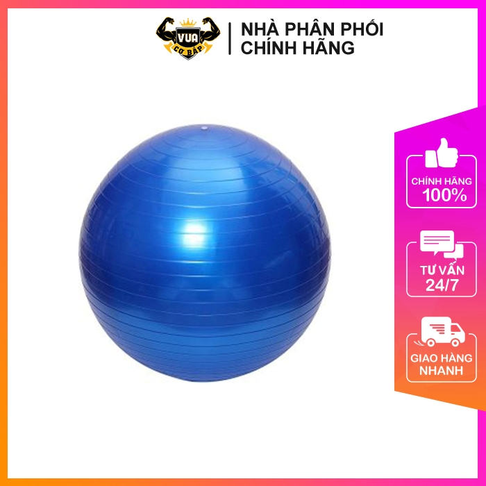 Bóng tập yoga/gym ballast bosu – 65cm