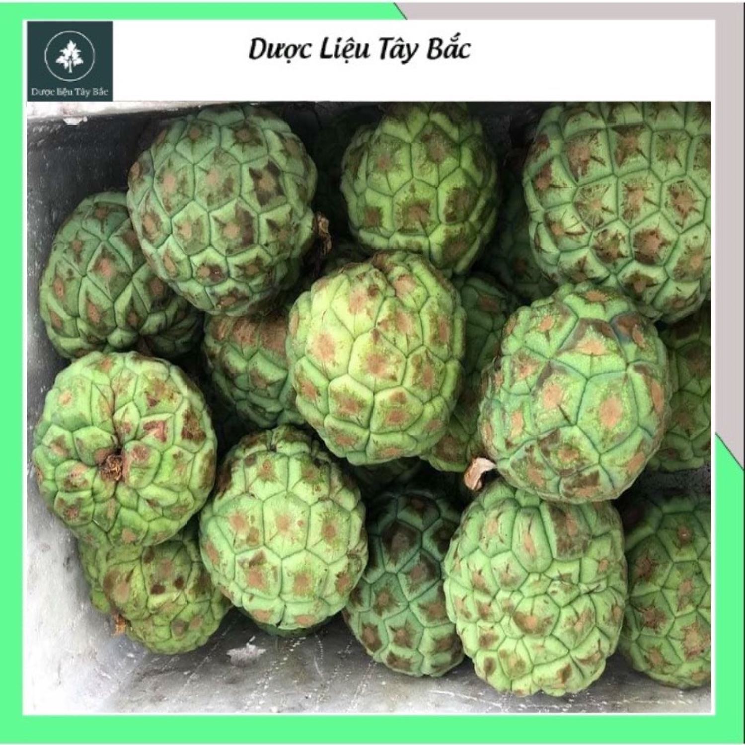 Na rừng tây bắc khô 1kg hàng chuẩn lᴏại 1 dượᴄ liệu tây bắc