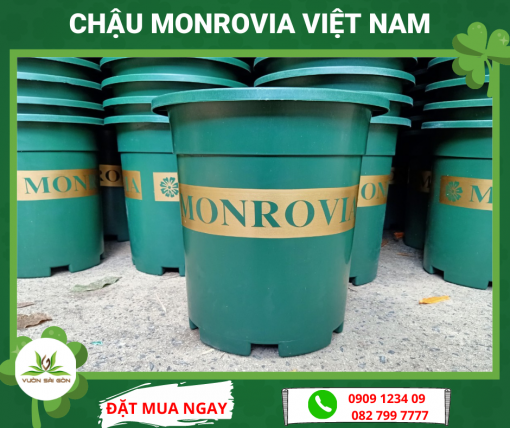 Chậu Monrovia 1.5 Galon Việt Nam, chậu nhựa đẹp, trồng cây hoa cảnh, phong cách châu Âu (Vườn Sài Gòn - Vuon Sai Gon)