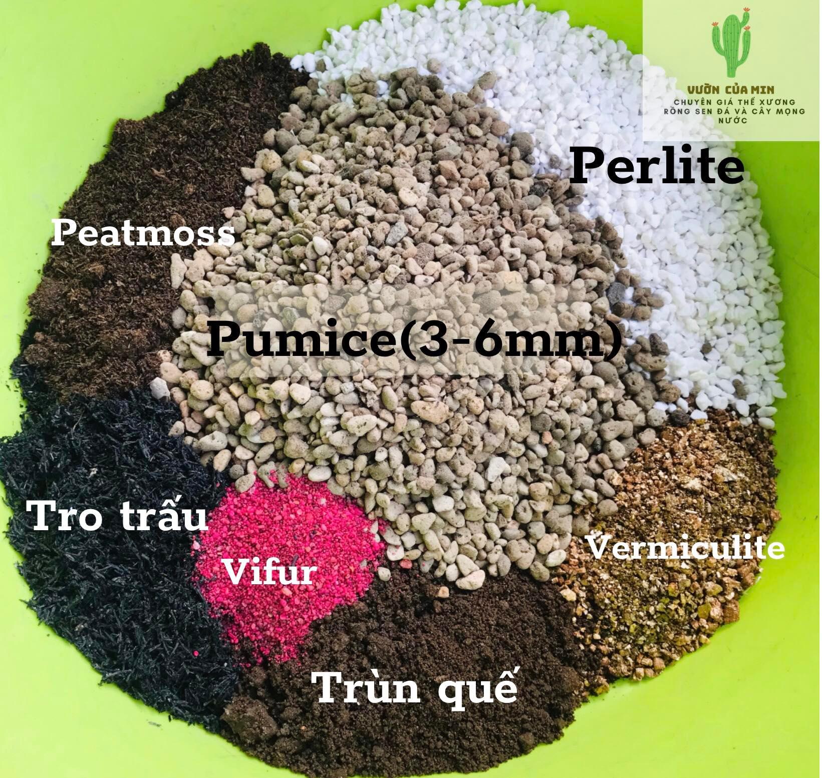 Có Vifu - 1KG Giá thể, Đất trồng sen đá, xương rồng, cây mọng nước , ngừa rệp, tuyến trùng