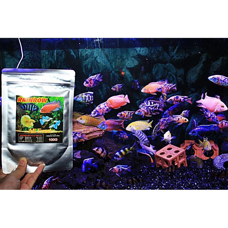 Thức ăn cá ali cichlid rainbow gói 100g a022. giúp màu cho cá ali và các loại cá cảnh khác. hàng nhập khẩu thái lan.