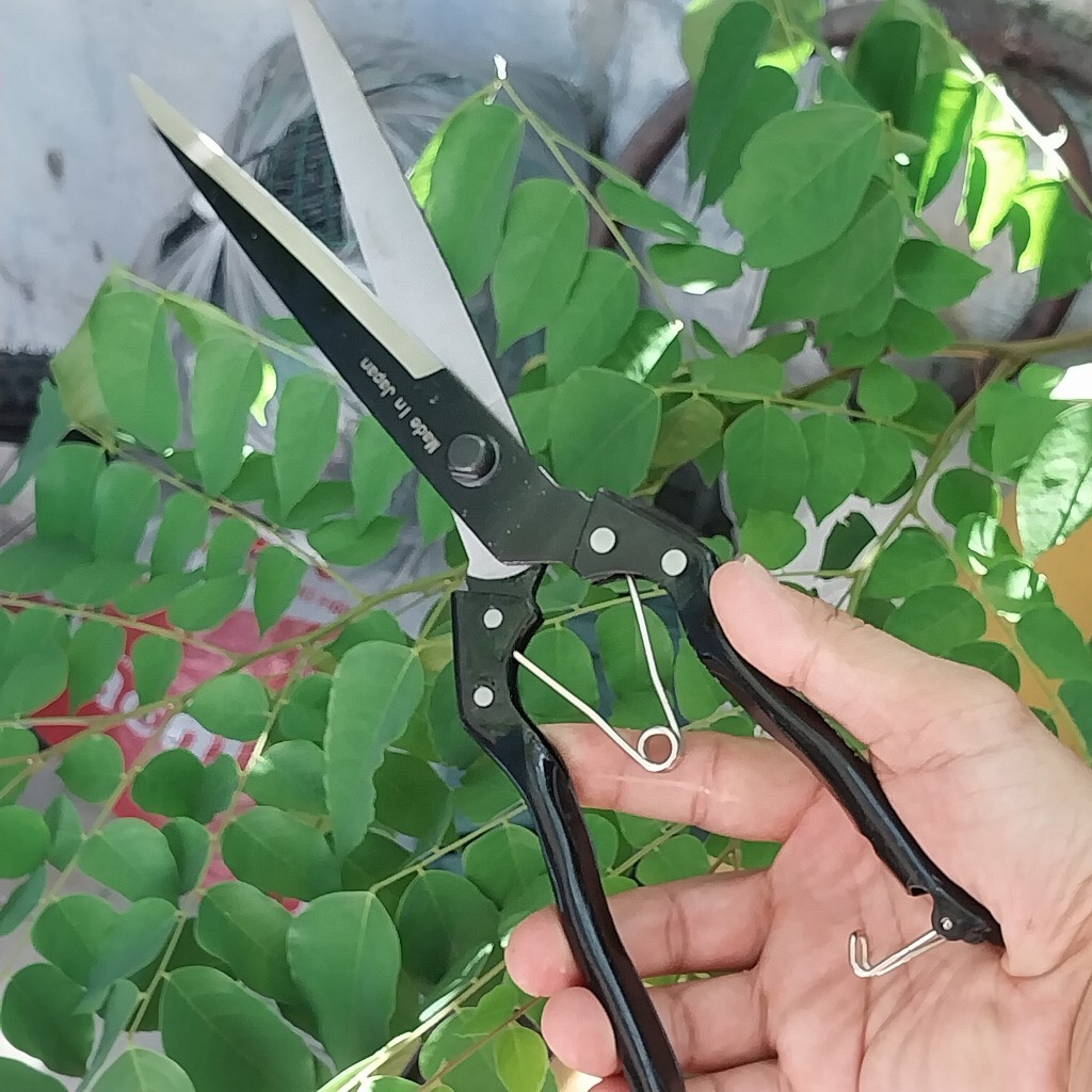 Kéo cắt tỉa cành cây kéo tỉa dăm mũi nhọn dài 24-34cm