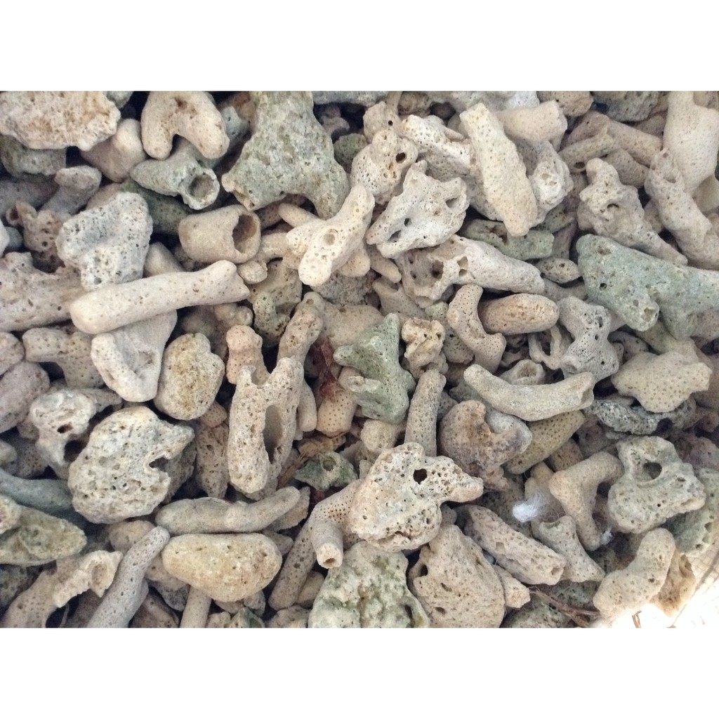 San hô vụn 500G lọc nước cho hồ cá cảnh